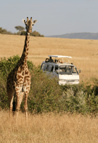 Long Safaris