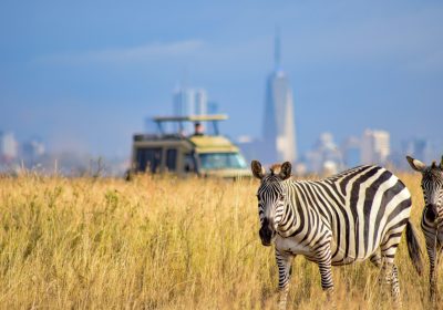 2 Days 1 Night Nairobi National Park Safari Package
