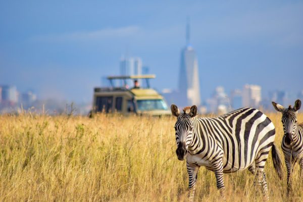 2 Days 1 Night Nairobi National Park Safari Package
