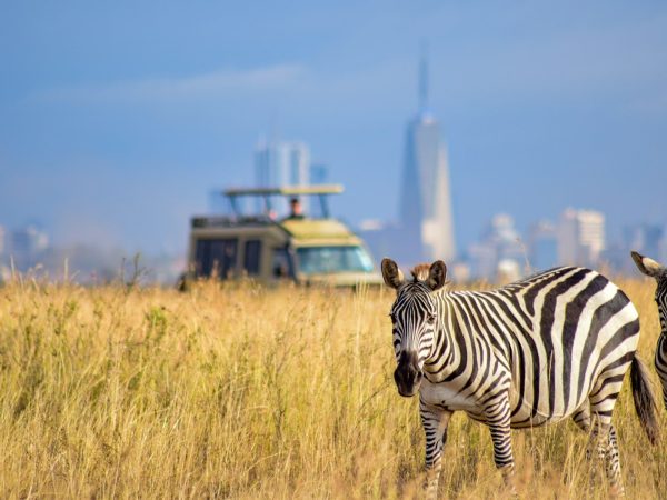 2 Days 1 Night Nairobi National Park Safari Package